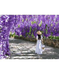 Набор для раскрашивания по номерам Девушка в саду, 24 цвета: краски акриловые на водной основе 24 штуки, холст c контурным рисунком (нетканый материал), на подрамнике из МДФ, кисти 3 штуки, контрольный лист со схемой / 30x40x1,6см арт.88117