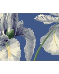 Набор для раскрашивания по номерам Ирис, 24 цвета: краски акриловые на водной основе 24 штуки, холст c контурным рисунком (нетканый материал), на подрамнике из МДФ, кисти 3 штуки, контрольный лист со схемой / 40x50x1,6см арт.88124