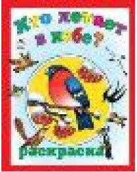 Кто летает в небе раскраска большого формата