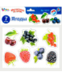 Магниты Ягоды Магнитные истории европодвес