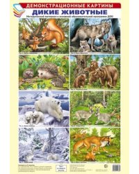 Демонстрационные картины А3. Дикие животные. Методический материал к основной образовательной программе ДОО 8 картин А3+, этикетка с текстом заданий на обороте