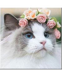 Набор для творчества мозаика из кристаллов-страз Леди-Кошка: кристаллы 30 цветов (акрил), холст на подрамнике из МДФ с клеевой схемой из нетканого материала (полиэфирные волокна), стилус (полипропилен), силиконовый клей для стилуса, лоток для кристаллов (