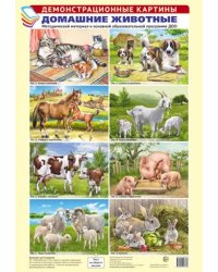 Демонстрационные картины А3. Домашние животные. Методический материал к основной образовательной программе ДОО 8 картин А3+, этикетка с текстом заданий на обороте