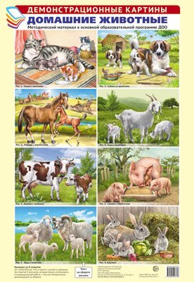 Демонстрационные картины Демонстрационные картины А3. Домашние животные. Методический материал к основной образовательной программе ДОО 8 картин А3+, этикетка с текстом заданий на обороте