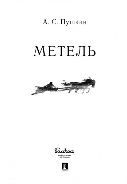 Метель.-М.:Проспект,2025 244437