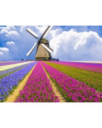 Набор для творчества мозаика из кристаллов-страз Мельница: кристаллы 30 цветов (акрил), холст с клеевой схемой из нетканого материала (полиэфирные волокна), стилус (полипропилен), силиконовый клей для стилуса, лоток для кристаллов (полипропилен). арт.8814