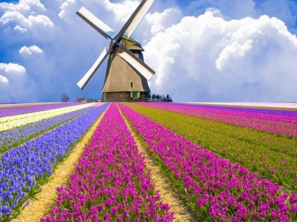 Набор для творчества мозаика из кристаллов-страз Мельница: кристаллы 30 цветов (акрил), холст с клеевой схемой из нетканого материала (полиэфирные волокна), стилус (полипропилен), силиконовый клей для стилуса, лоток для кристаллов (полипропилен). арт.8814