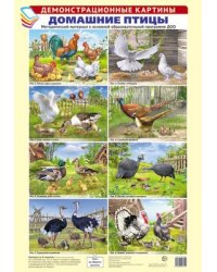 Демонстрационные картины А3. Домашние птицы. Методический материал к основной образовательной программе ДОО 8 картин А3+, этикетка с текстом заданий на обороте
