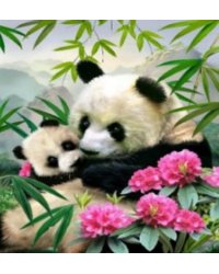 Набор для творчества мозаика из кристаллов-страз Панды: кристаллы 30 цветов (акрил), холст с клеевой схемой из нетканого материала (полиэфирные волокна), стилус (полипропилен), силиконовый клей для стилуса, лоток для кристаллов (полипропилен). / 30x30x0,1