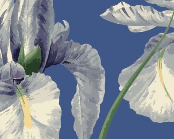 Набор для раскрашивания по номерам Ирис, 24 цвета: краски акриловые на водной основе 24 штуки, холст c контурным рисунком (нетканый материал), на подрамнике из МДФ, кисти 3 штуки, контрольный лист со схемой / 40x50x1,6см арт.88124