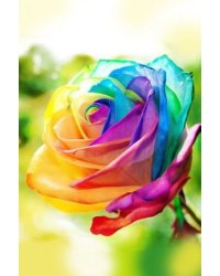 Набор для творчества мозаика из кристаллов-страз Роза: кристаллы 28 цветов (акрил), холст на подрамнике из МДФ с клеевой схемой из нетканого материала (полиэфирные волокна), стилус (полипропилен), силиконовый клей для стилуса, лоток для кристаллов (полипр