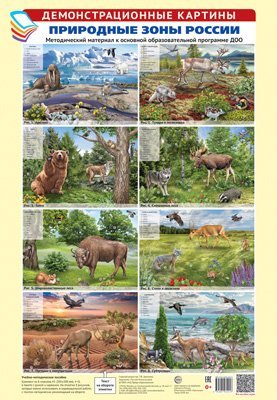 Демонстрационные картины А3. Природные зоны России. Методич. мат-л к ООП ДОО 8 картин+этикет.с текстом