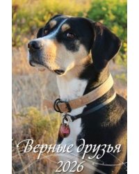 Верные друзья