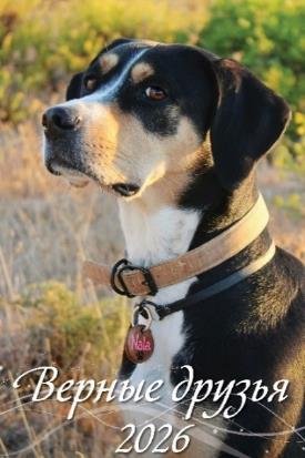 Верные друзья Верные друзья