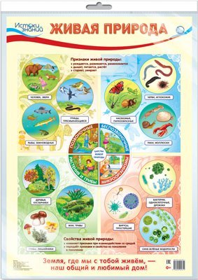 Демонстрационный плакат А2 Живая природа в индивидуальной упаковке с европодвесом и клеевым клапаном