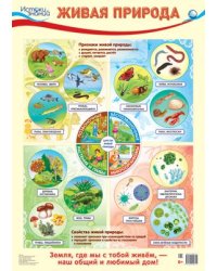 Демонстрационный плакат А2. Живая природа