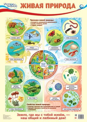 Познавательные плакаты Демонстрационный плакат А2. Живая природа