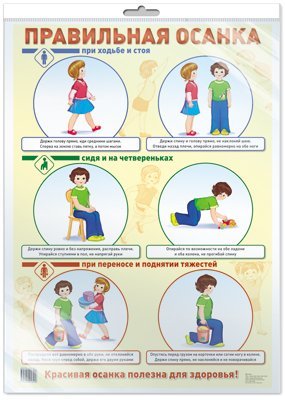 Познавательные плакаты Демонстрационный плакат А2. Правильная осанка в индивидуальной упаковке с европодвесом и клеевым клапаном