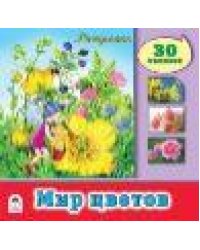 Мир цветов познавательные раскраски с накл.