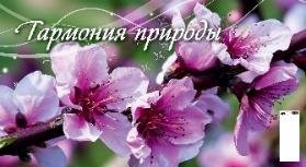 Гармония природы Гармония природы