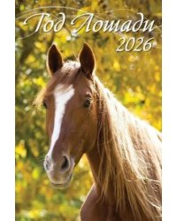 Год лошади. Вид 1