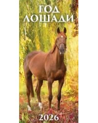Год лошади. Вид 1