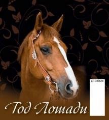 Год лошади. Вид 1