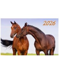 Год Лошади. Вид 1