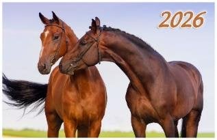 Год Лошади. Вид 1