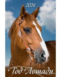 Год лошади. Вид 2