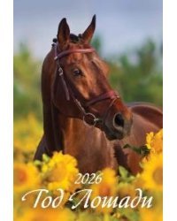 Год лошади. Вид 2