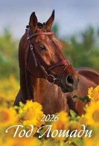 Год лошади. Вид 2 Год лошади. Вид 2