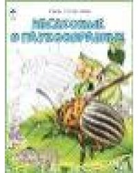 Насекомые и паукообразные.Посмотри и раскрась