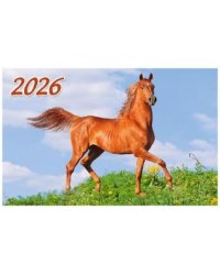 Год Лошади. Вид 2