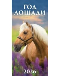 Год лошади. Вид 3