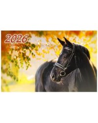 Год Лошади. Вид 3