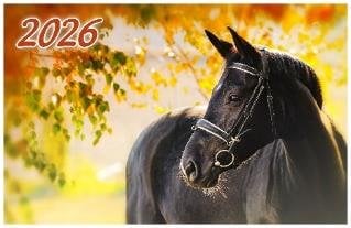 Год Лошади. Вид 3