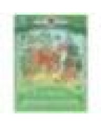 Лесные сказки. Бианки В. В. Сказки и стихи малышам. 145х195 мм. Скрепка. 16 стр. Умка в кор.50шт