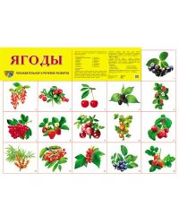 Демонстрационный плакат СУПЕР А2 Ягоды