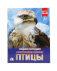 Птицы. Энциклопедия А4 с развивающими заданиями. Формат: 197х255 мм. 48 стр. Умка в кор.15шт