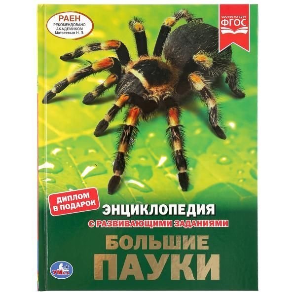 Большие пауки. Энциклопедия А4 с развивающими заданиями. 197х255мм. 48 стр. Умка в кор.15шт