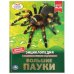 Большие пауки. Энциклопедия А4 с развивающими заданиями. 197х255мм. 48 стр. Умка в кор.15шт