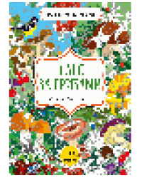 В лес за грибами. Цвета, символы, номера