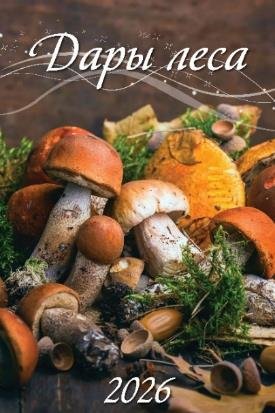 Дары леса Дары леса