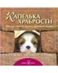 Капелька храбрости. Как достойно встречать трудности жизни