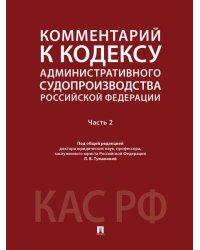 Комментарий к Кодексу административного судопроизводства Российской Федерации. В 2 ч. Ч.2.-М.:Проспект,2026. 250561