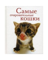 Самые очаровательные кошки