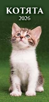 1 Календари на 2026 год . Календари настенные перекидные с ригелем (ЕВРО)(165*320) на 2026 год (в е Котята