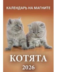 Котята