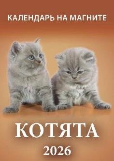 Котята Котята